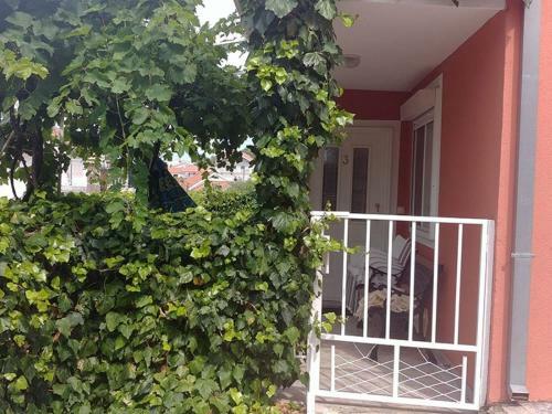 Apartments Zdrave - Free Parking