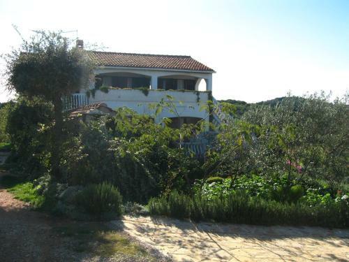 Apartments Lado - 230 M From Sea