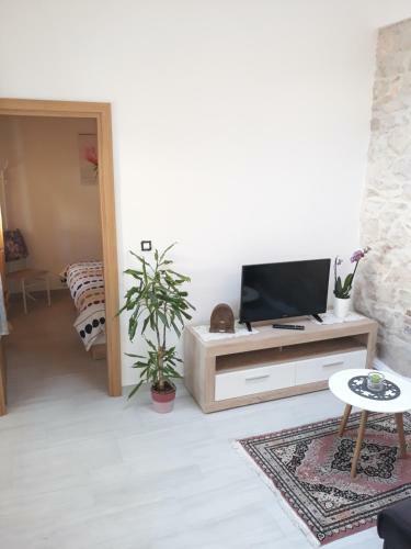 Apartamentos Amalia