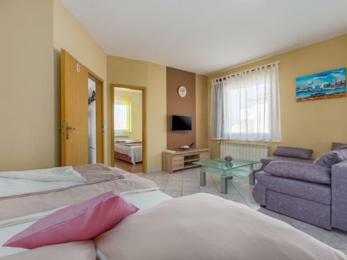 Apartment Ru?ica-1