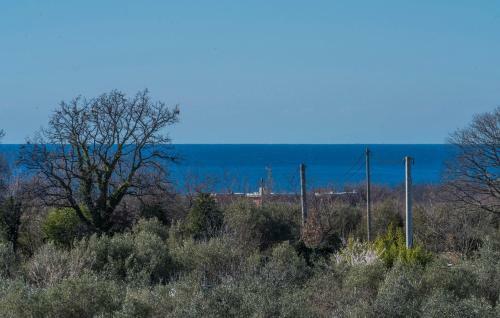 Apartment Giuliano With Sea View