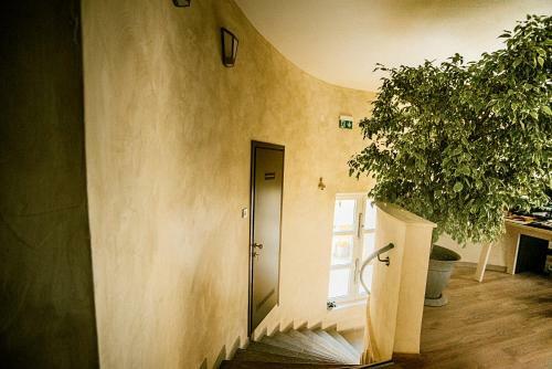 Hostal Pansion Bernarda Nova
