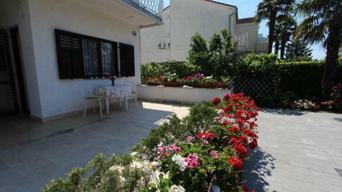 Hostal Apartments Miro