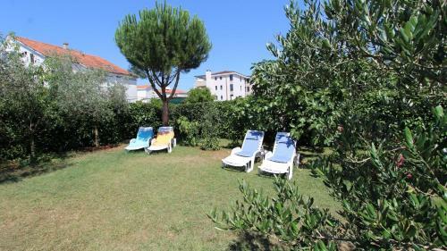 Hostal Apartments Miro
