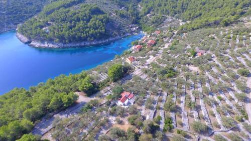 Vacation House Planika