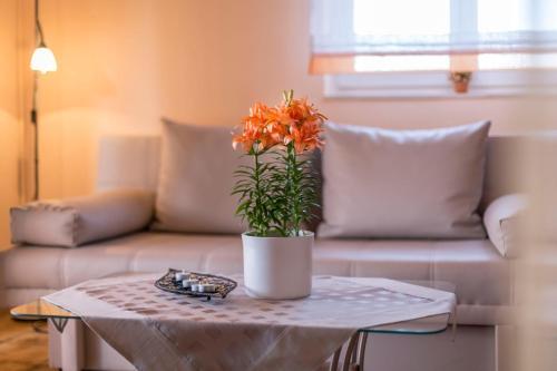 Apartments Jadric