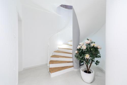 Villa Desire