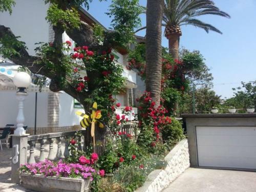Apartman Marcela