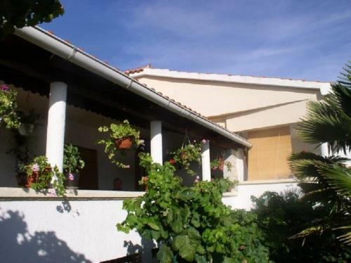 Apartments Kuzma - Afordable