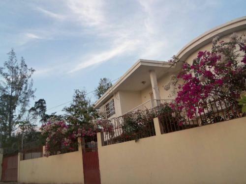 Comfort Rental House
