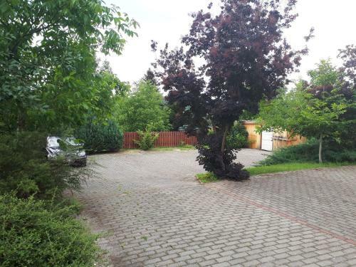 Bianka Apartmanh�z
