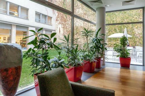 City Heart Wellness Apartment