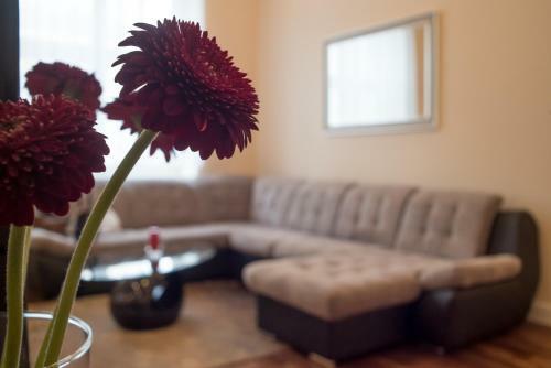 Anna Apartment