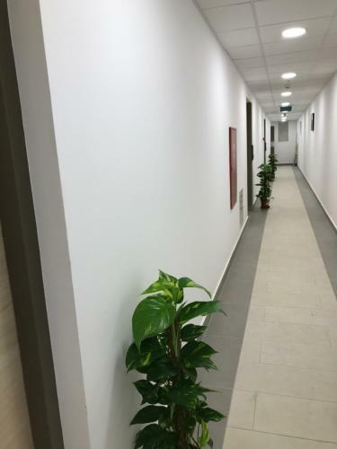 Corvin Rose Apartment Hotel