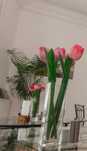 Bed & Breakfast Butterfly Home Danube
