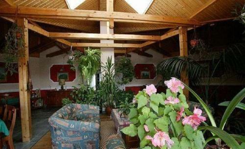 Apartamento Studio Lilac