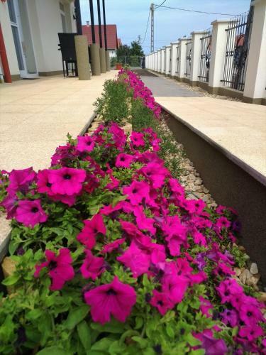 Hostal St. Hubert Vend�gh�z