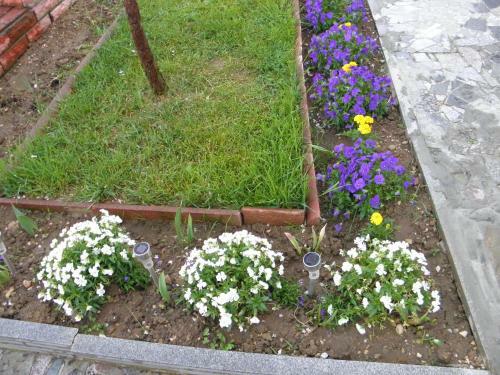 Apartamento H�v�z Krist�lyapartman
