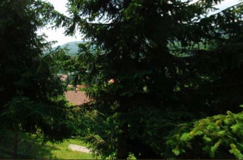 Lillaf�red Kapuja Hotel
