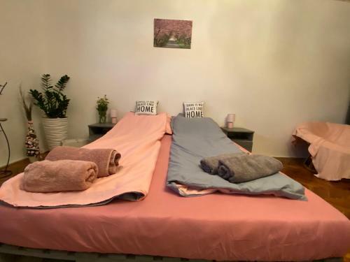 Vir�g Var�zs Vend�gh�z