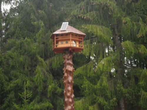 Bed & Breakfast Sebesvi�z Panzi�