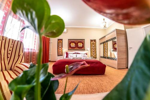Hotel Dzsungel
