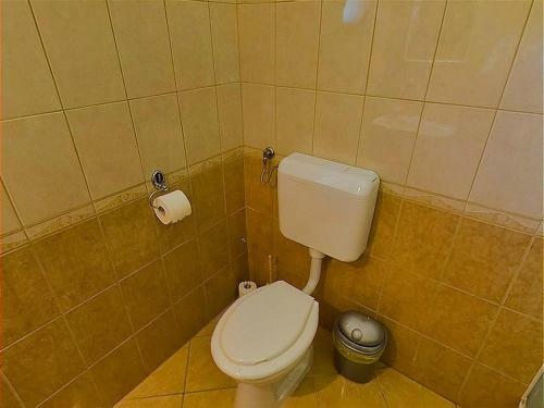 Apartment- Yellow