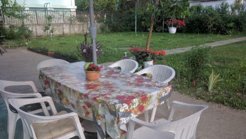 Tisza Parti Nyaral�h�z