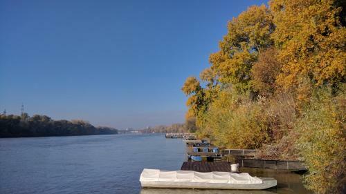 Tisza Parti Nyaral�h�z