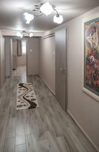 Apartamento Szab� H�z Tiszaf�red