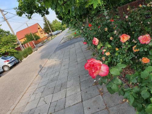 Hostal Airport Luxury Apartman 42