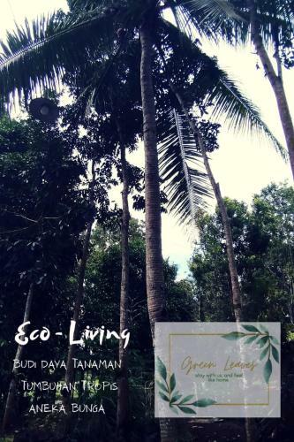Green Leaves Homestay