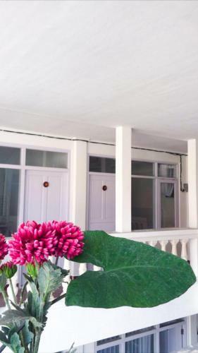 Albergue G'mory Stay