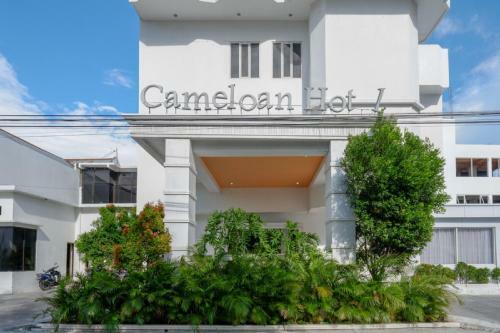 Reddoorz Plus @ Cameloan Hotel Palu