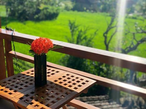 Noka Homestay