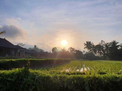 Kayangan Villa Ubud