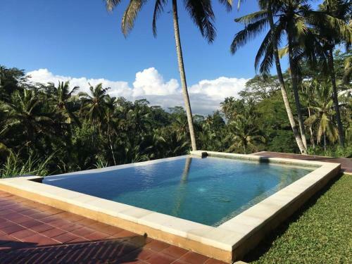 Bed & Breakfast The Papas Villas