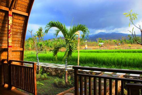 Umma Bali Menjangan Retreat