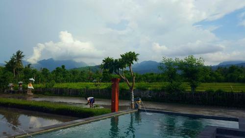Umma Bali Menjangan Retreat