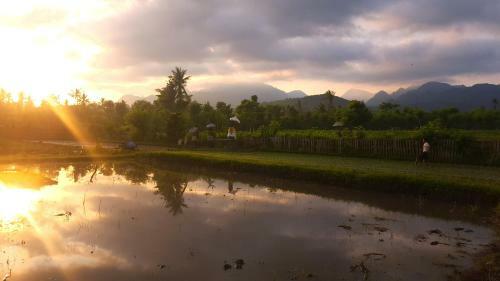 Umma Bali Menjangan Retreat