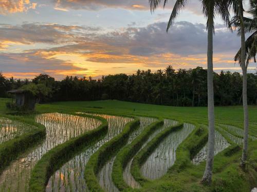 Hotel Coco Verde Bali Resort