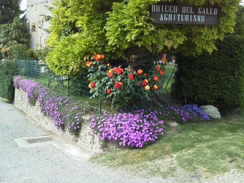 Bed & Breakfast Bricco Del Gallo