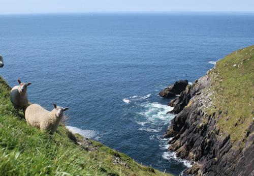 Dingle Bay View