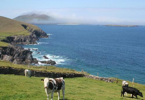 Dingle Holiday Homes (s7)