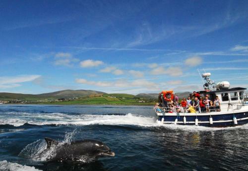 Dingle Holiday Homes (s7)