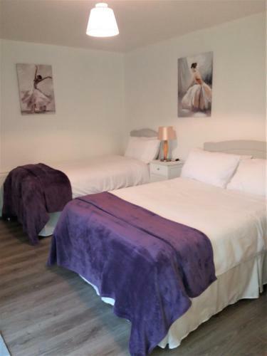 Lettermore Apartment 2