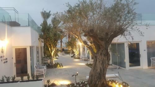Milos Hotel Dead Sea