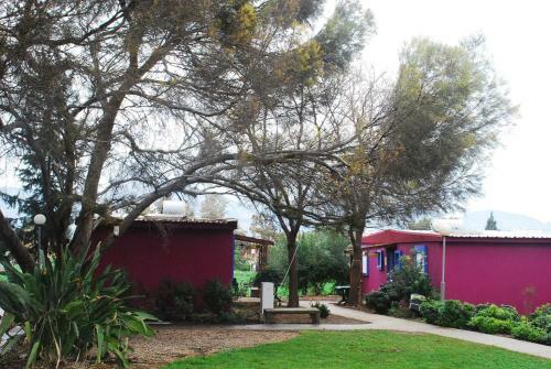 Posada Mizra Guest House