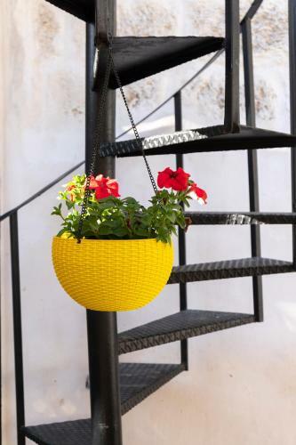 Jaffa Tel-aviv Gallery Boutique Hotel