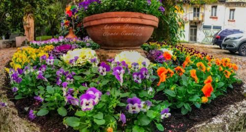 Bed & Breakfast Antica Dimora Conti Custoza